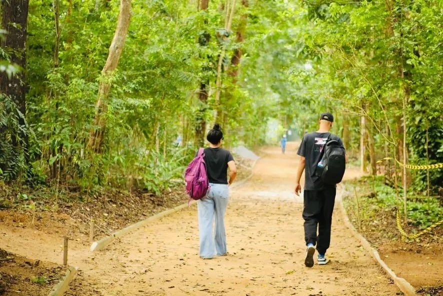 Parques e espaços culturais são opções gratuitas e acessíveis para lazer em Salvador durante o verão