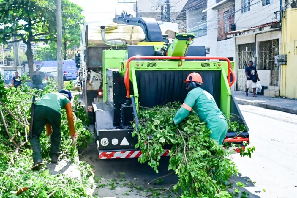 Salvador conta com primeira máquina trituradora de podas para reciclagem orgânica