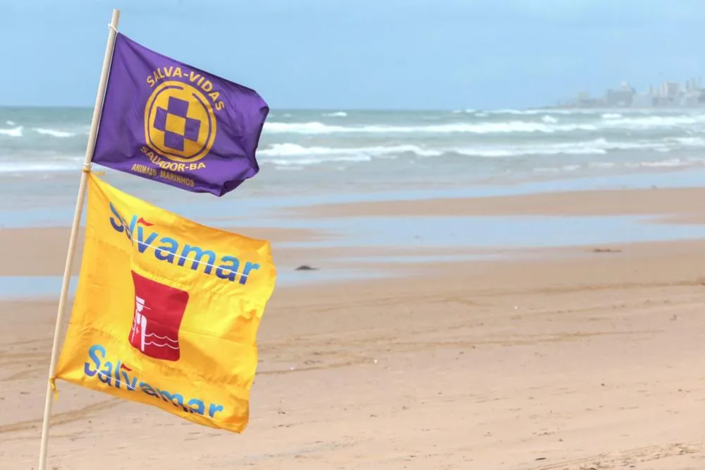 Alerta de Bandeira Roxa: Salvamar alerta para presença de caravelas-portuguesas nas praias de Salvador